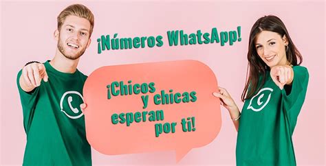 conocer chicos por whatsapp|¡Números de WhatsApp! Conocer chicas, mujeres y。